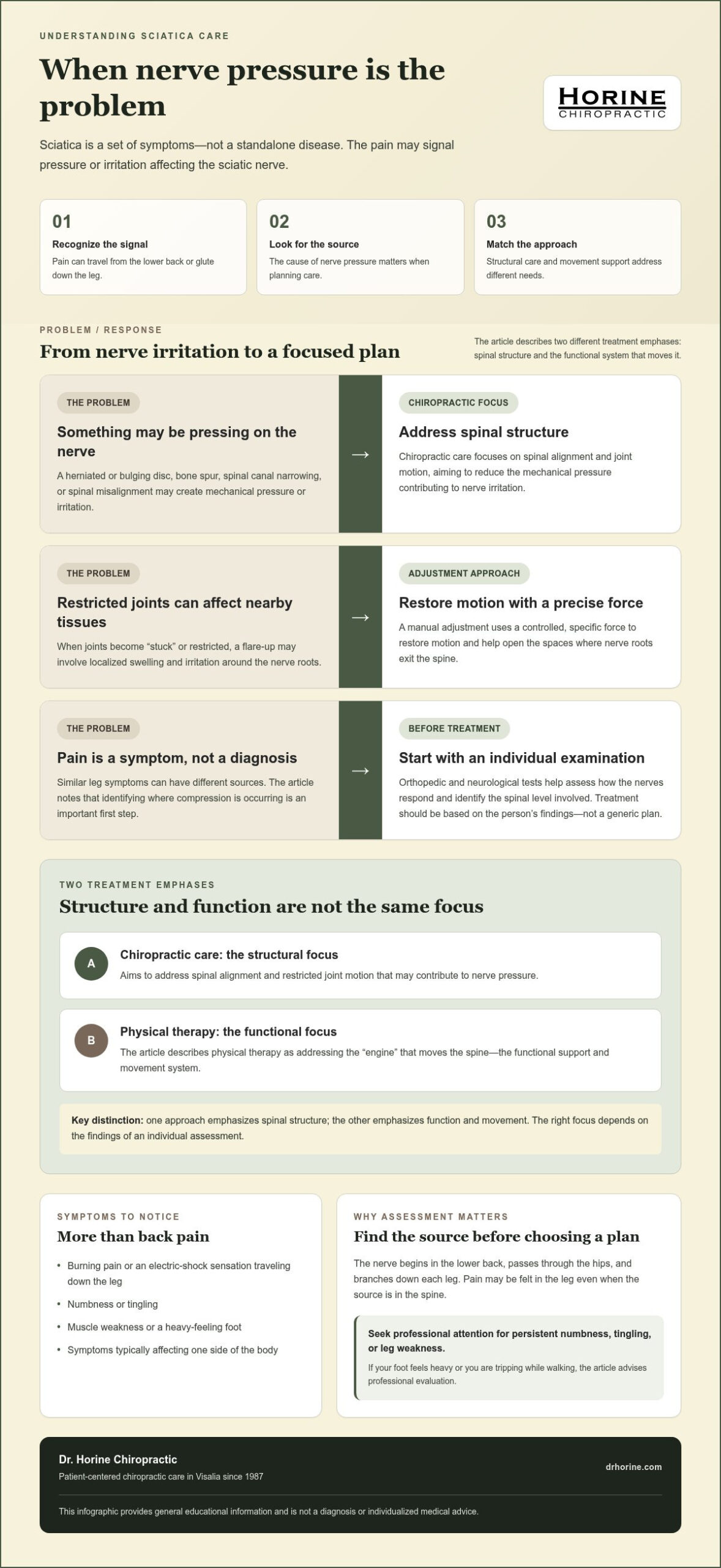 Chiropractic vs. Physical Therapy for Sciatica Relief